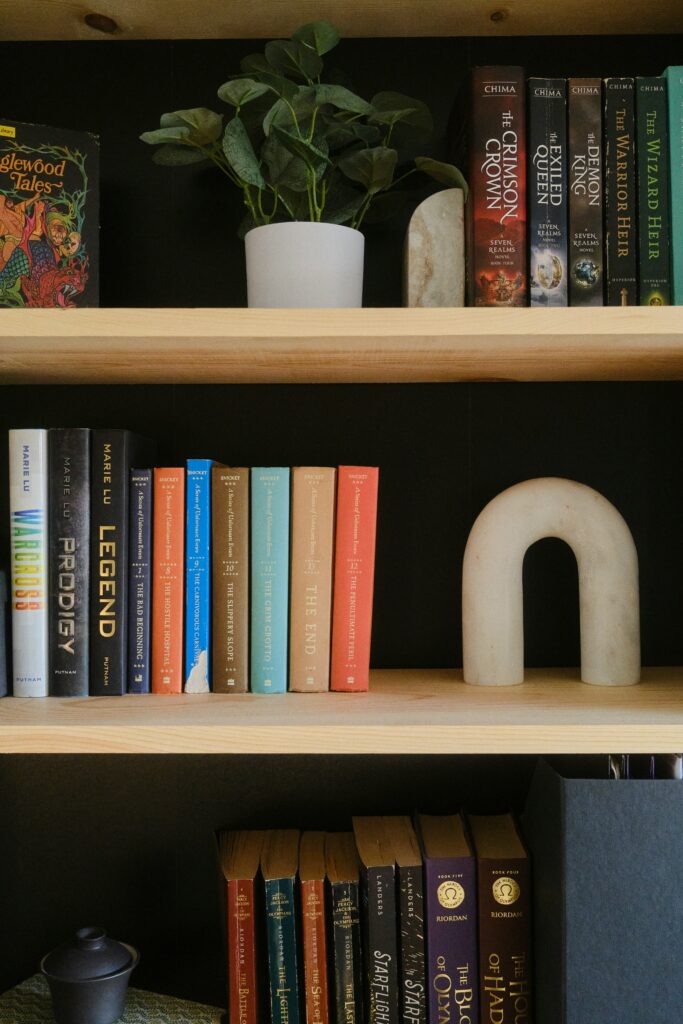 Balanced Blend of Books and Decor