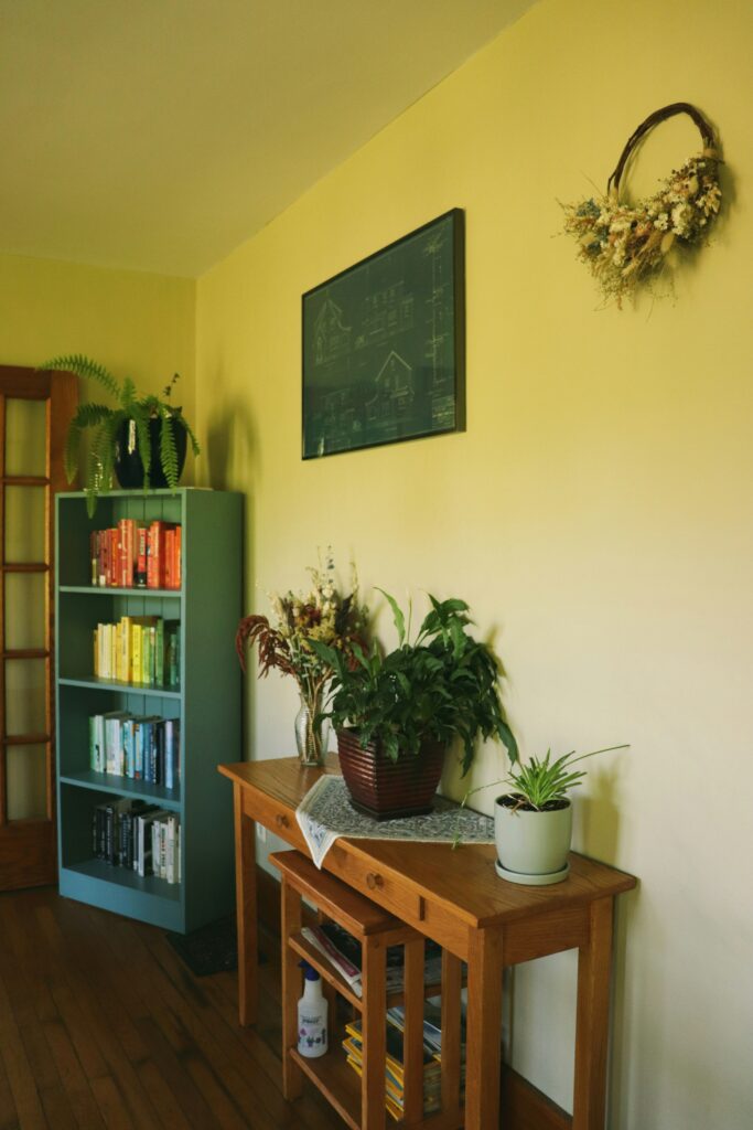 Green Built-In Shelving