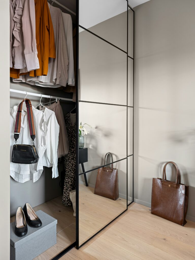Mirrored Closet Door